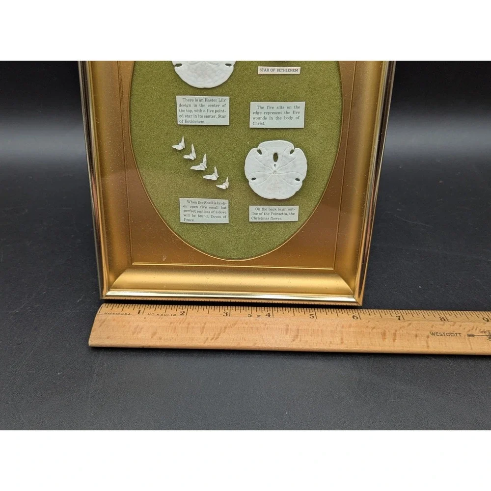 RARE Gold-Tone Shadow Box Frame Sand Dollars Handmade Art Christian Meaning